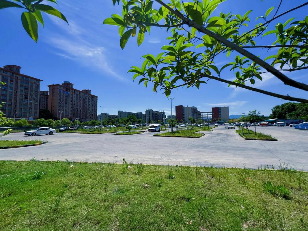 学车的绿色通道有什么用